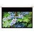 Funscreen Premium Plus SB Motor 170x304cm vetítővászon