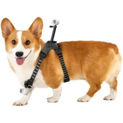 Insta360 Pet Harness Mount Size M