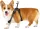 Insta360 Pet Harness Mount Size M
