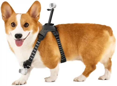 Insta360 Pet Harness Mount Size M