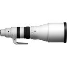Sigma 300-600mm f/4 DG OS Sports (Sony E)