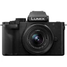 Panasonic Lumix G DC-G100DVEGK kit (12-32mm f/3.5-5.6 + DMW-SHGR2E)