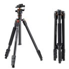 K&F Concept K234A1+BH-28L állvány (156cm magasság, 10kg teherbírás)