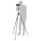 Manfrotto Befree Advanced carbon travel tripod twist gömbfejjel