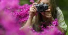 Nikon Z fc kit (Z DX 18-140mm f/3.5-6.3 VR)