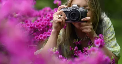 Nikon Z fc kit (Z DX 18-140mm f/3.5-6.3 VR)