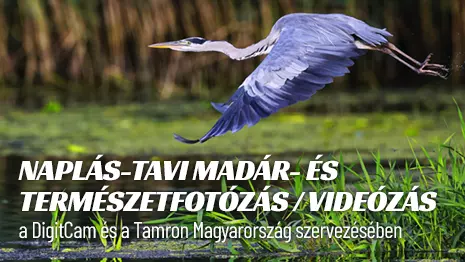 Naplás-tavi természet- és madárfotózás akciókkal
